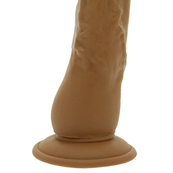 Latin Lover World Of Dongs - Eroticon Ltd
