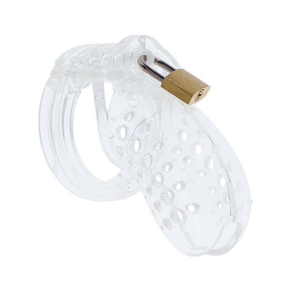 Hidden Desire Extreme Chastity Cock Cage - Eroticon Ltd
