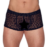 Noir Sheer Animal Print Pants - Eroticon Ltd