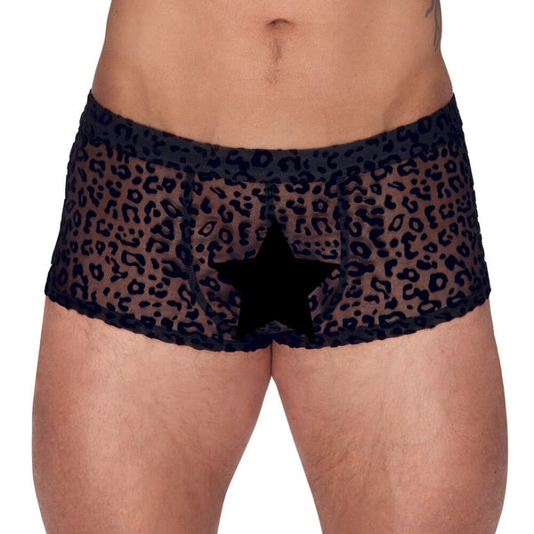 Noir Sheer Animal Print Pants - Eroticon Ltd