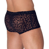 Noir Sheer Animal Print Pants - Eroticon Ltd