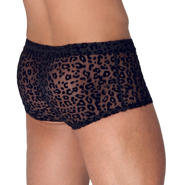 Noir Sheer Animal Print Pants - Eroticon Ltd