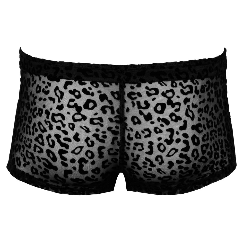 Noir Sheer Animal Print Pants - Eroticon Ltd