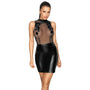 Noir Sheer and Wet Look Sleeveless Dress - Eroticon Ltd