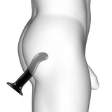 Strap On Me Prostate and G Spot Curved Dildo XLarge Black - Eroticon Ltd