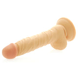 8 Inch Realistic Dong with Scrotum - Eroticon Ltd