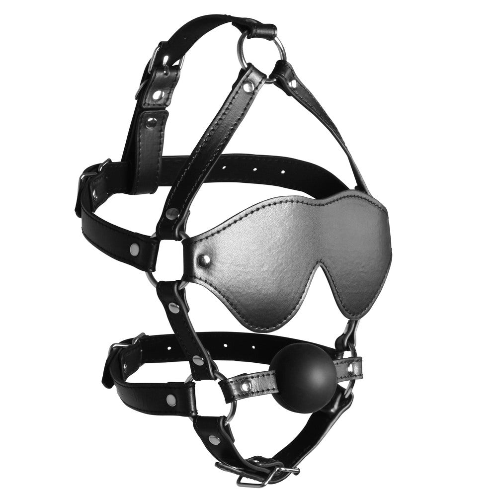 Ouch Xtreme Blindfolded Harness With Solid Ball Gag - Eroticon Ltd