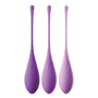 Fantasy For Her Kegel TrainHer Set - Eroticon Ltd
