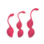 Rimba Geneva Kegal Ball Training Set Pink - Eroticon Ltd