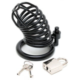 Metal Male Chastity Device With Padlock - Eroticon Ltd
