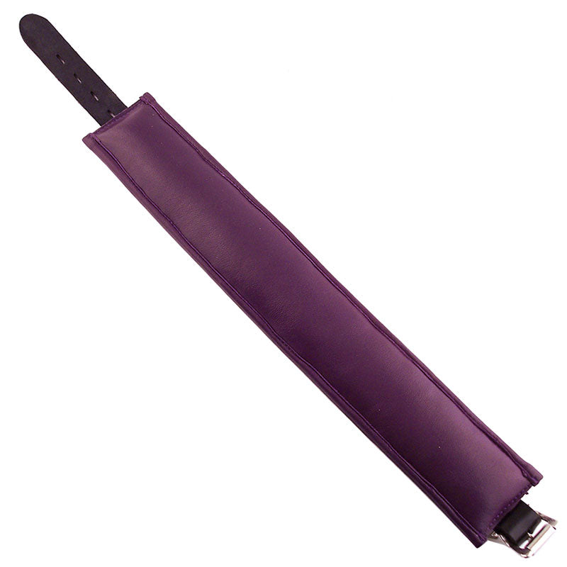 Rouge Garments Black And Purple Padded Collar - Eroticon Ltd