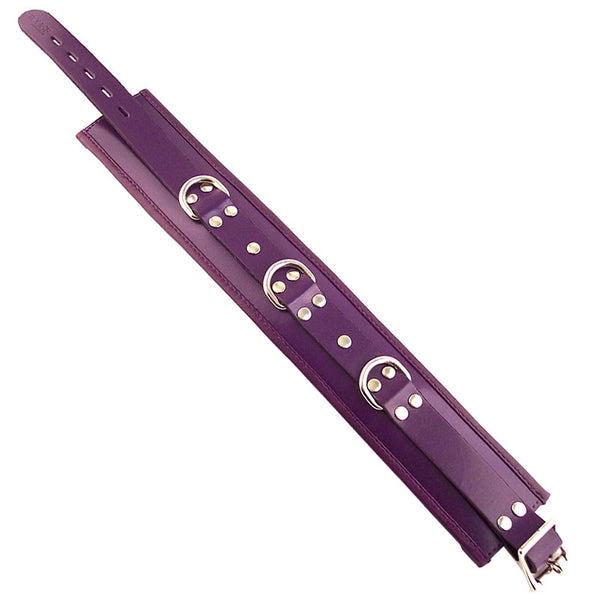 Rouge Garments Purple Padded Collar - Eroticon Ltd