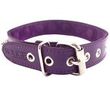 Rouge Garments Purple Nut Collar - Eroticon Ltd