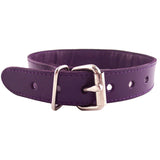 Rouge Garments Purple Studded ORing Studded Collar - Eroticon Ltd