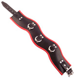 Rouge Garments Black And Red Padded Posture Collar - Eroticon Ltd