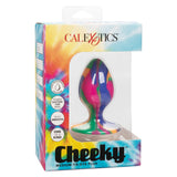 Cheeky Medium Tie Dye Butt Plug - Eroticon Ltd
