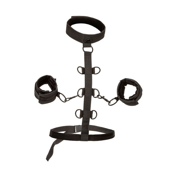 Boundless Collar Body Restraint - Eroticon Ltd