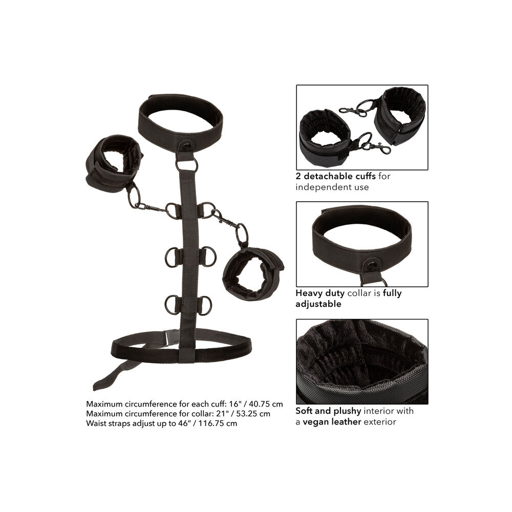 Boundless Collar Body Restraint - Eroticon Ltd