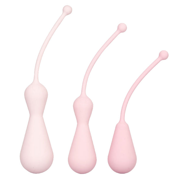 Inspire Weighted Silicone Kegel Training Kit - Eroticon Ltd
