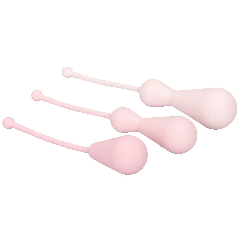 Inspire Weighted Silicone Kegel Training Kit - Eroticon Ltd