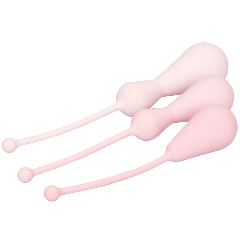 Inspire Weighted Silicone Kegel Training Kit - Eroticon Ltd