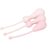 Inspire Weighted Silicone Kegel Training Kit - Eroticon Ltd