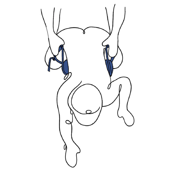 Sportsheets Pivot Deluxe Strap - Eroticon Ltd