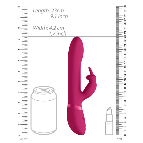 Vive Amoris Pink Rabbit Vibrator With Stimulating Beads - Eroticon Ltd