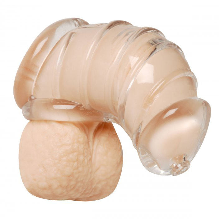 Detained Soft Body Chastity Cage - Eroticon Ltd
