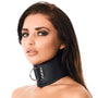 Leather Collar With Padlock - Eroticon Ltd