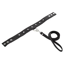 SportSheets Leather Leash And Collar - Eroticon Ltd