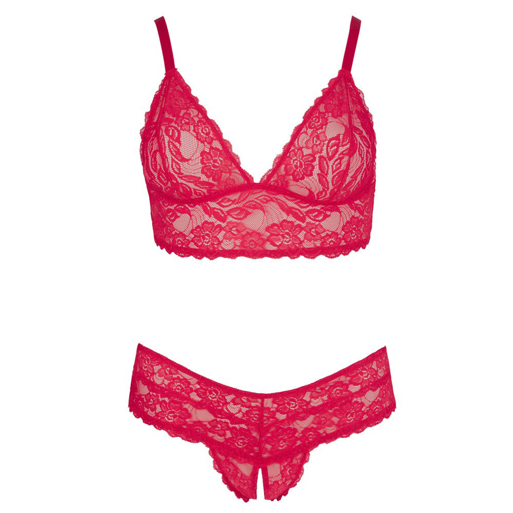 Cottelli Plus Size Red Lace Bra And Briefs - Eroticon Ltd